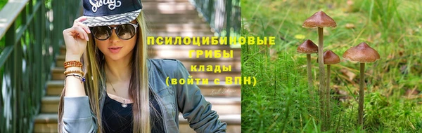 apvp Алзамай