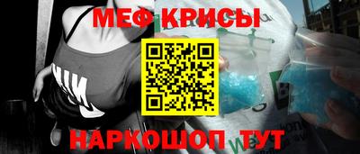 стафф Славгород