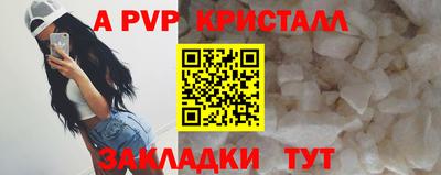 стафф Славгород