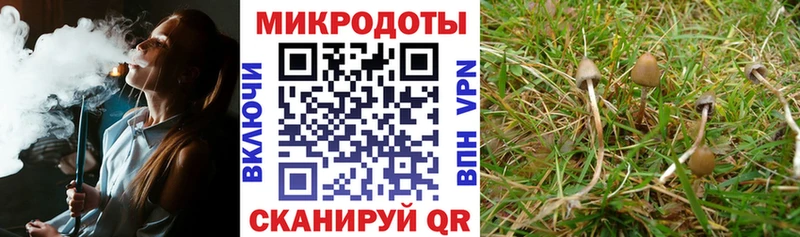 Псилоцибиновые грибы мухоморы  закладка  Новочеркасск 