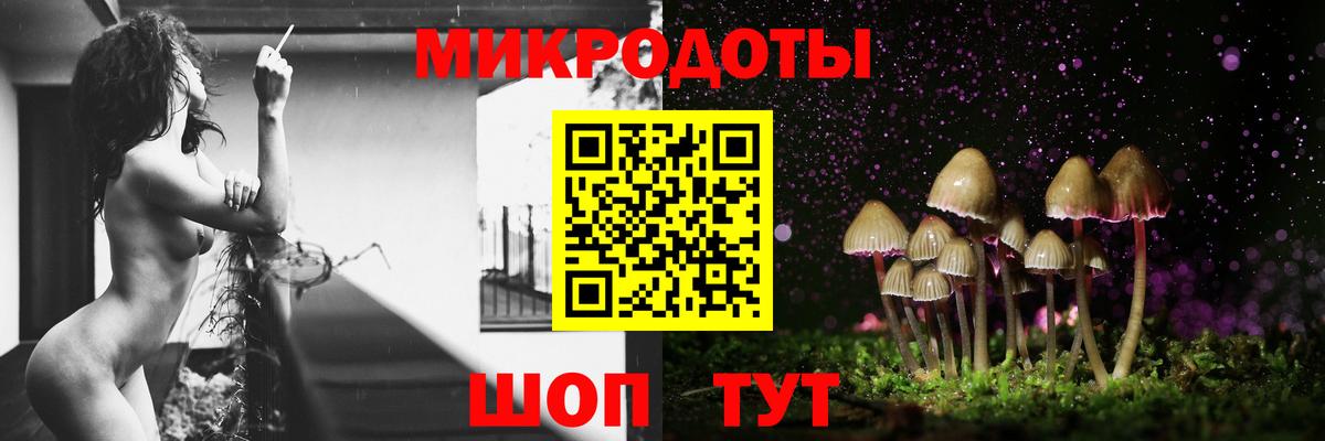 Галлюциногенные грибы Psilocybine cubensis Новочеркасск